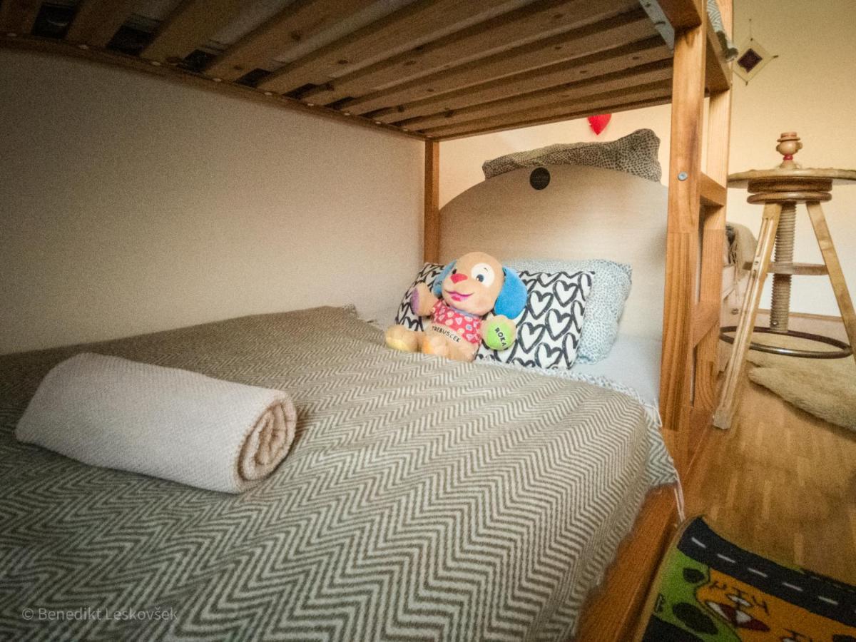 Panorama Glamping Visole Ξενοδοχείο Slovenska Bistrica Εξωτερικό φωτογραφία