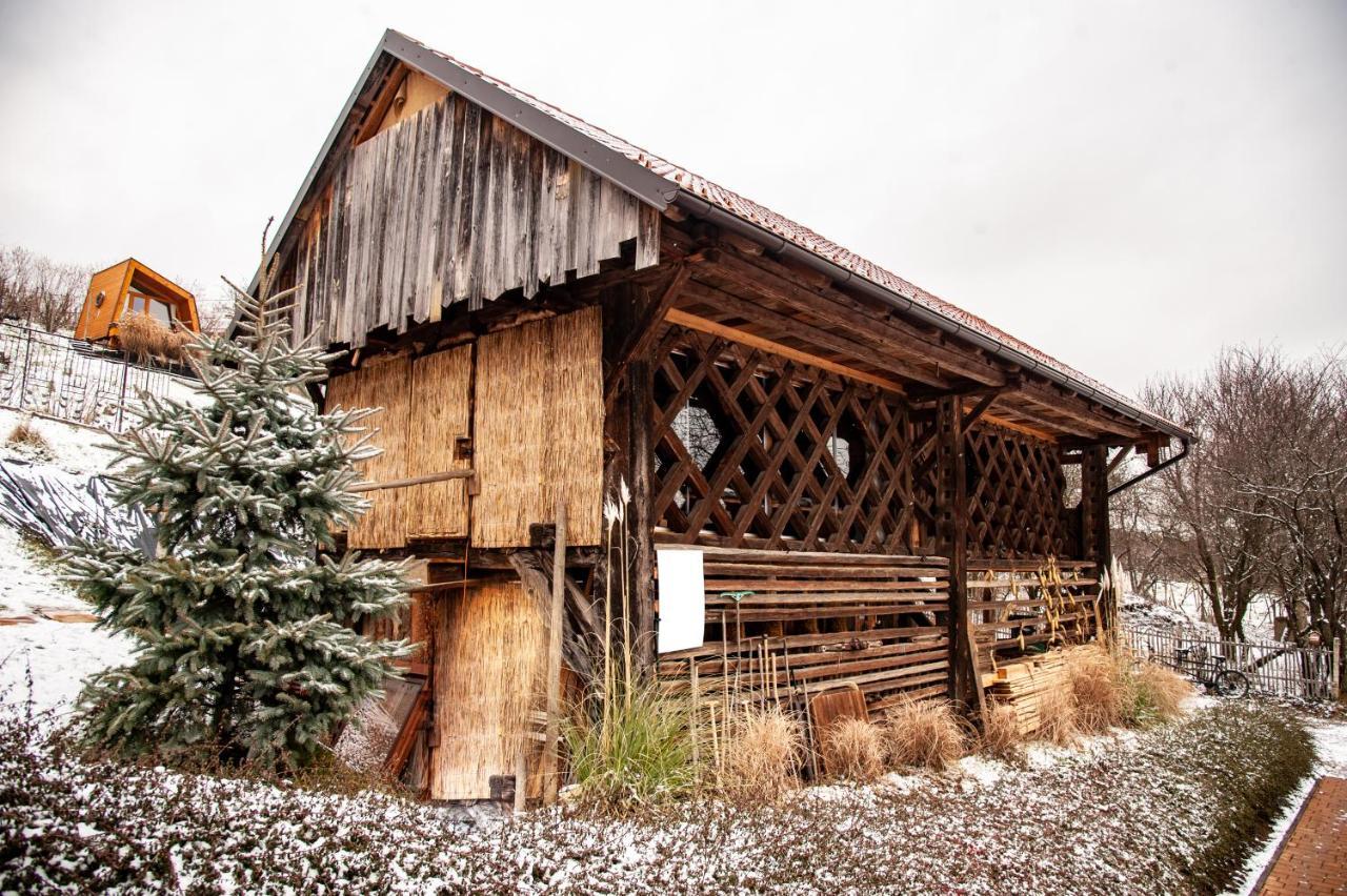 Panorama Glamping Visole Ξενοδοχείο Slovenska Bistrica Εξωτερικό φωτογραφία
