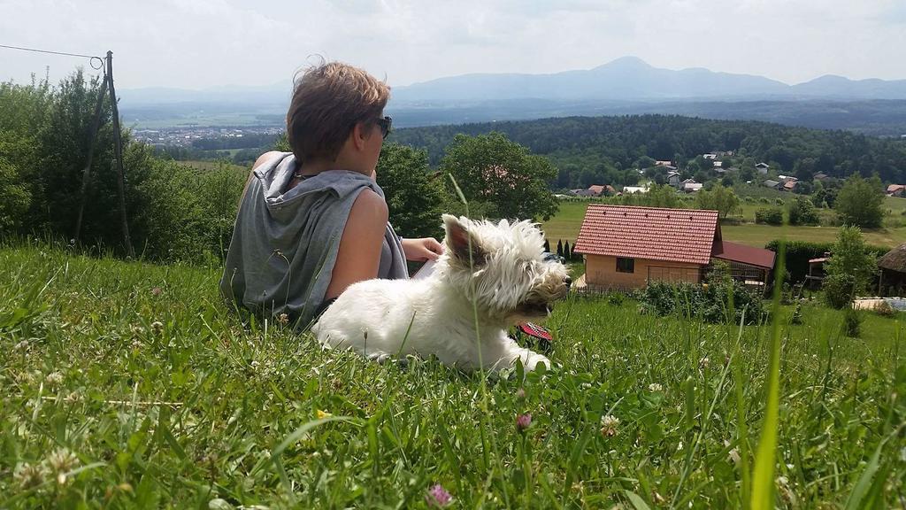 Panorama Glamping Visole Ξενοδοχείο Slovenska Bistrica Εξωτερικό φωτογραφία