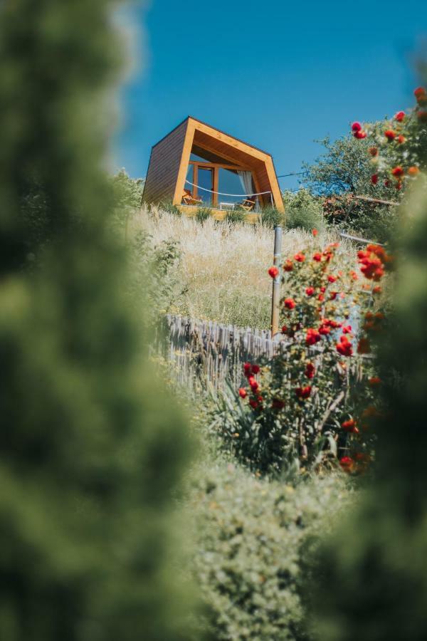 Panorama Glamping Visole Ξενοδοχείο Slovenska Bistrica Εξωτερικό φωτογραφία